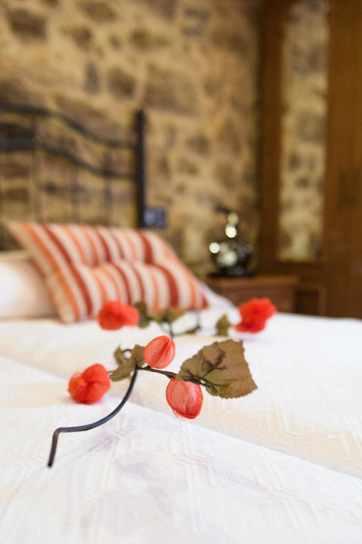 Palas de Rei Casa Carlaヴィラ エクステリア 写真
